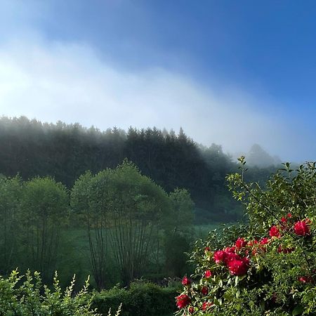 Villa House With A View - Modernes Ferienhaus In Der Eifel Antweiler Exterior foto