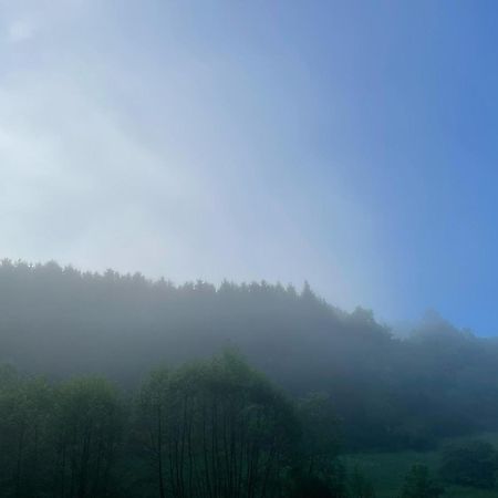 Villa House With A View - Modernes Ferienhaus In Der Eifel Antweiler Exterior foto